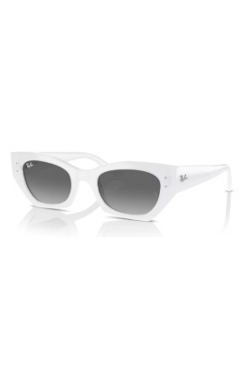RAYBAN 4430 ZENA