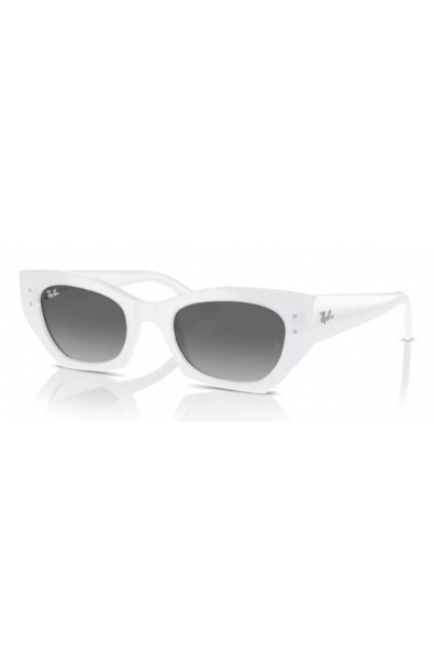 RAYBAN 4430 ZENA